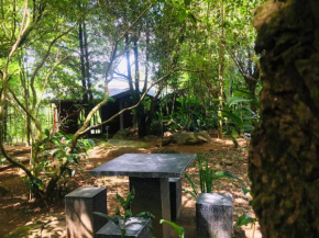 Mossy Forest Chalets